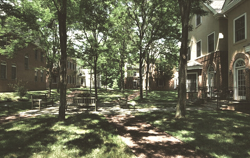 Governors Lane community court in summer shade